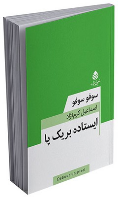 معاصر فرانسه _ ایستاده بر یک پا