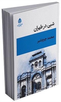 شبی در طهران